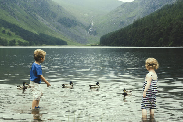Escenas de Wes Anderson